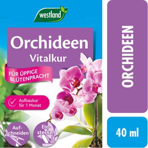 Produktbild für Dünger Westland Orchideen Vitalkur
