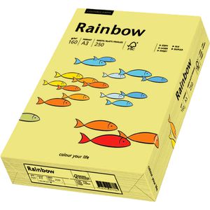 Produktbild für Kopierpapier Papyrus Rainbow 88042328