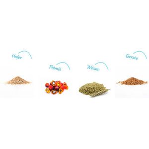 Produktbild für Müsli Kölln Knusper Klassik