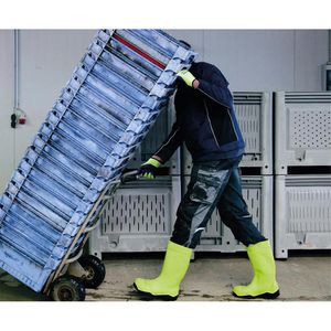 Produktbild für Arbeitshandschuhe ACE-Instruments Frost 535796