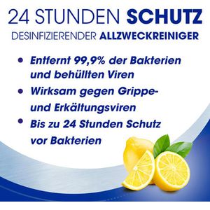 Produktbild für Allzweckreiniger Sagrotan 24h Schutz, Zitrusbrise