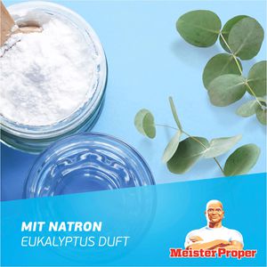 Produktbild für Allzweckreiniger Meister-Proper Natron