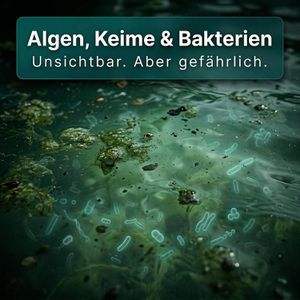 Produktbild für Algizid INOX 90103101, Pool Booster