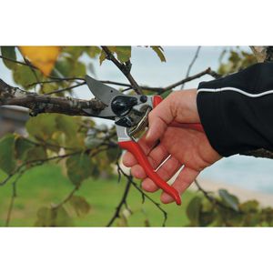 Produktbild für Gartenschere FELCO 8, Bypass