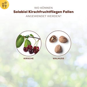 Produktbild für Gelbtafeln Solabiol Kirschfruchtfliegenfalle 10 x 27cm, Hängen