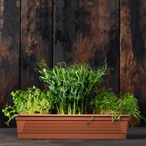 Produktbild für Blumenkasten Plastard Milano 60, terrakotta