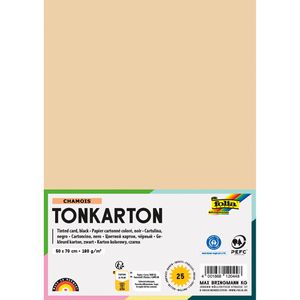 Produktbild für Tonpapier Folia 6118/25 10, 50 x 70cm