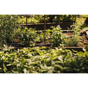 Produktbild für Tropfschlauch Fiskars 1025935