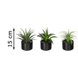 Produktbild für Kunstpflanze Creativ-green Sukkulenten-Mix