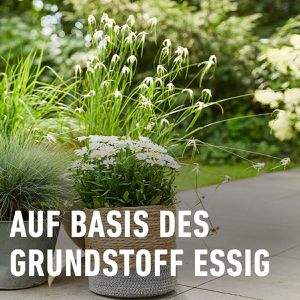 Produktbild für Grundstoff Compo Bio Essig, Konzentrat