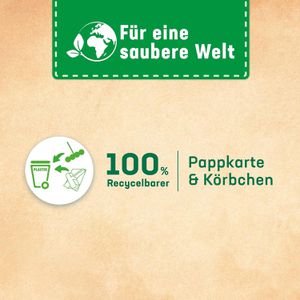 Produktbild für WC-Duftspüler WC-Frisch Kraft Aktiv Pro Nature