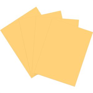 Produktbild für Kopierpapier Papyrus Rainbow 88042280