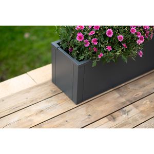 Produktbild für Pflanzkasten Westmann Talus M anthrazit