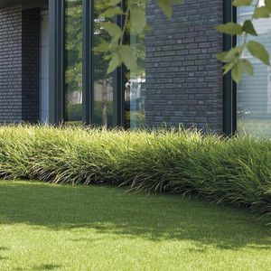 Produktbild für Kunstrasen Casa-Pura Windsor, 200 x 600 cm