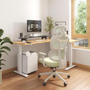 Produktbild für Bürostuhl FlexiSpot BS5LG