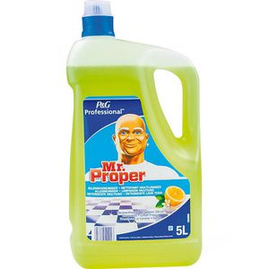 Allzweckreiniger Meister-Proper Professional