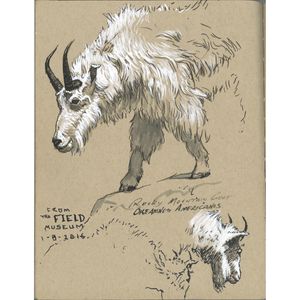 Produktbild für Tuschestifte Faber-Castell Pitt Artist Pen 167151