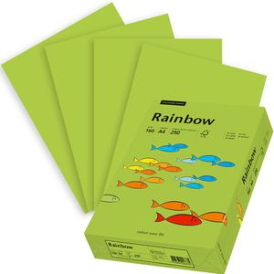 Produktbild für Kopierpapier Papyrus Rainbow 88042615