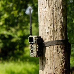Produktbild für Wildkamera Rollei SimConnect LTE 4G GSM