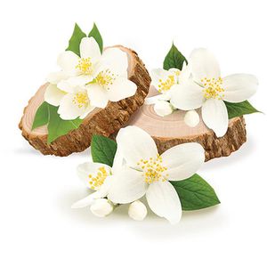 Produktbild für Raumduft glade by brise, touch &amp; fresh, 10 ml