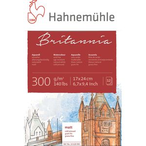 Produktbild für Aquarellpapier Hahnemühle Britannia Block, 17 x 24 cm