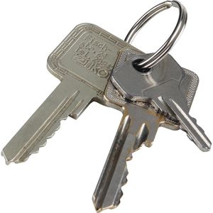 Produktbild für Schlüsselring Böttcher-AG Durchmesser 25 mm