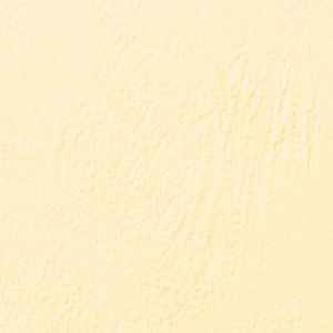 Produktbild für Deckblätter GBC LeatherGrain CE040065, A4