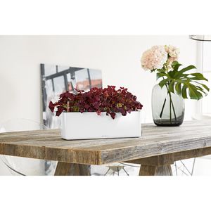 Produktbild für Übertopf Lechuza CUBE Glossy Triple, weiß hochglanz,40x14x14cm