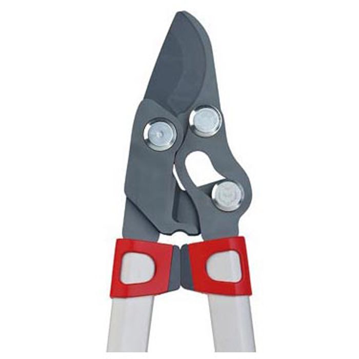 WolfGarten Astschere Power Cut RR 900 T Premium, TeleskopAstschere
