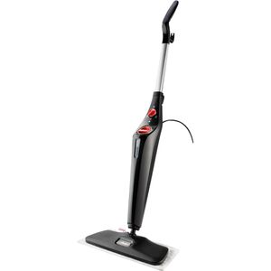 Dampfreiniger