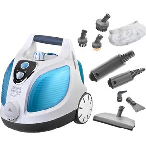 Dampfreiniger