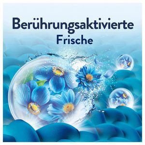 Produktbild für Weichspüler Lenor Küstenblumen &amp; Zypresse, Großpackung