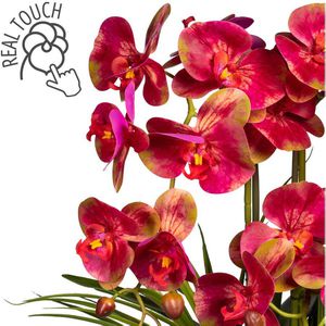 Produktbild für Kunstblume Creativ-green Orchidee, Phalaenopsis