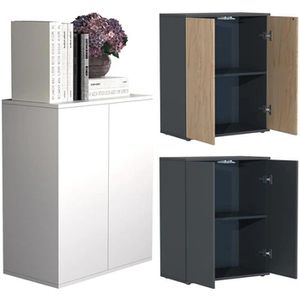 Produktbild für Aktenschrank VCM Dalosa 2-Fach 918321, aus Holz