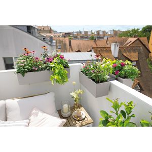 Produktbild für Blumenkasten Lechuza BALCONERA Color 40, sandbraun