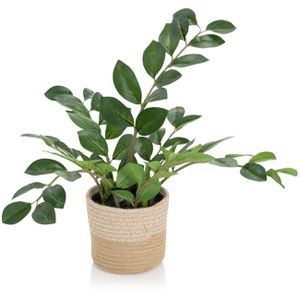 Kunstpflanze hJh-OFFICE Zamie Zamioculcas