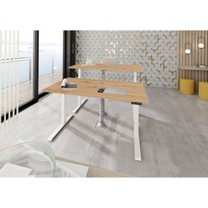 Produktbild für Schreibtisch Hammerbacher XDKB 19, asteiche / weiß