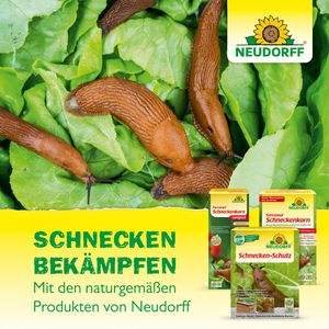 Produktbild für Schneckenkorn Neudorff Ferramol, extrem regenfest