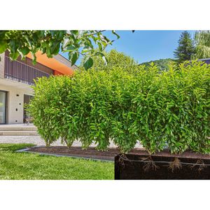 Produktbild für Micro-Drip-System Gardena Set Hecke, Sträucher, 13500-20, 25m