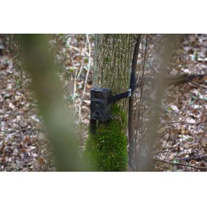 Produktbild für Wildkamera Braun-Photo Scouting Cam Black300