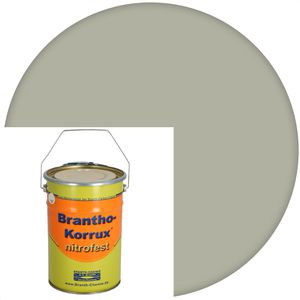 Haftgrund Branth Brantho-Korrux nitrofest