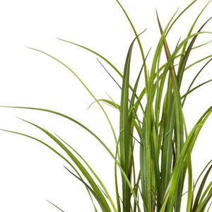 Produktbild für Kunstpflanze Creativ-green Wiesengras