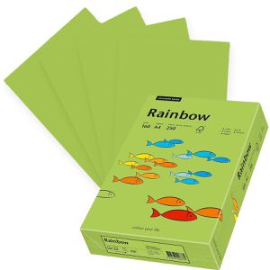 Kopierpapier Papyrus Rainbow 88042659