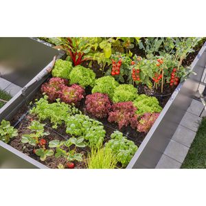 Produktbild für Micro-Drip-System Gardena Verschlussstopfen, 13215-20