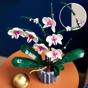 Produktbild für Klemmbausteine LEGO Botanicals 10311, ab 18 Jahre