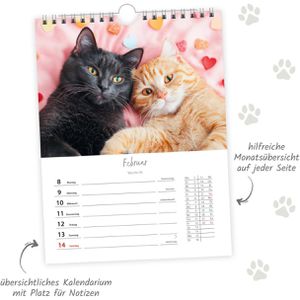 Produktbild für Bildkalender Trötsch 2027705, Katzen, Jahr 2027