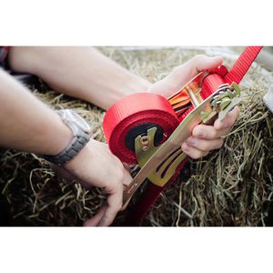 Produktbild für Spanngurt Kerbl 37189, rot, mit Spitzhaken &amp; Ratsche