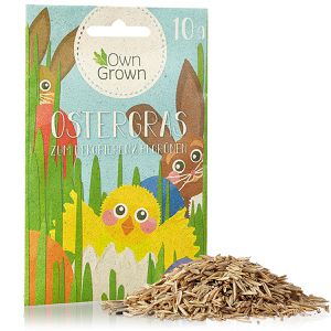 Ostergras OwnGrown BEGR-000687