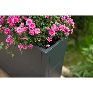 Produktbild für Pflanzkasten Westmann Talus XL anthrazit