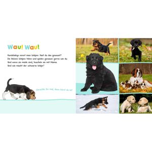 Produktbild für Spielbuch ars-Edition Tierkinder - Hör mal rein